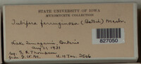 Image Associated With the Occurence